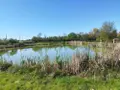 Maison a vendre Nohant-Vic 36400 Indre 36 135 m2 201400 euros 2472 010