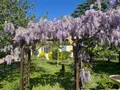 Maison a vendre Vérac 33240 Gironde 33 111 m2 5 pièces 255000 euros 118/1648 015