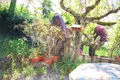 Maison a vendre Villefranche-de-Rouergue 12200 Aveyron 12 138 m2 5 pièces 126700 euros 3210 027