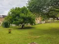 Maison a vendre Haraucourt 08450 Ardennes 08 230 m2 8 pièces 329000 euros 10305/1312 012