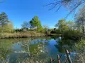 Terrains de loisirs bois etangs a vendre Saint-Genou 36500 Indre 36 22200 euros 1052374 008
