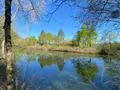 Terrains de loisirs bois etangs a vendre Saint-Genou 36500 Indre 36 22200 euros 1052374 007