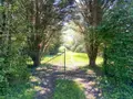 Terrains de loisirs bois etangs a vendre Saint-Genou 36500 Indre 36 22200 euros 1052374 003