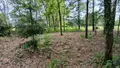 Terrain a batir a vendre Glénac 56200 Morbihan 56 750 m2 39900 euros 009/1353 003