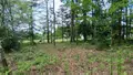 Terrain a batir a vendre Glénac 56200 Morbihan 56 750 m2 39900 euros 009/1353 004
