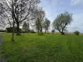 Propriete a vendre Sainte-Marie-Cappel 59670 Nord 59 220 m2 8 pièces 649000 euros H126018 013