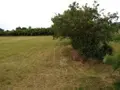 Terrain a batir a vendre Boissy-Lamberville 27300 Eure 27 35000 euros 052/336 001