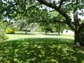 Maison a vendre Valdivienne 86300 Vienne 86 140 m2 6 pièces 250000 euros 2550 004