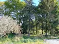 Terrain a batir a vendre Cournon 56200 Morbihan 56 688 m2 20000 euros 009/1355 002