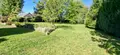 Maison a vendre Montigny-sur-Crécy 02270 Aisne 02 152 m2 5 pièces 167680 euros 02014/904 007