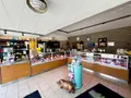 Fonds et murs commerciaux a vendre Bourg-Blanc 29860 Finistère 29 198400 euros 29042-81 004