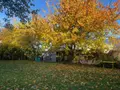 Maison a vendre Champgenéteux 53160 Mayenne 53 112 m2 5 pièces 129950 euros 12703/3747 002