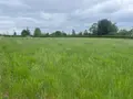 Terrain a batir a vendre Verteillac 24320 Dordogne 24 5939 m2 25000 euros 077/1724 003