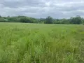 Terrain a batir a vendre Verteillac 24320 Dordogne 24 5939 m2 25000 euros 077/1724 007
