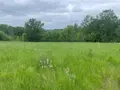 Terrain a batir a vendre Verteillac 24320 Dordogne 24 5939 m2 25000 euros 077/1724 008
