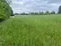 Terrain a batir a vendre Verteillac 24320 Dordogne 24 5939 m2 25000 euros 077/1724 009
