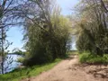 Terrains de loisirs bois etangs a vendre Vouneuil-sur-Vienne 86210 Vienne 86 9000 euros 86024-TEBE2453 001