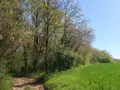 Terrains de loisirs bois etangs a vendre Vouneuil-sur-Vienne 86210 Vienne 86 9000 euros 86024-TEBE2453 002