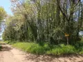 Terrains de loisirs bois etangs a vendre Vouneuil-sur-Vienne 86210 Vienne 86 9000 euros 86024-TEBE2453 005