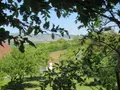 Maison a vendre Dennevy 71510 Saône-et-Loire 71 73 m2 4 pièces 157800 euros MH1025DE 005