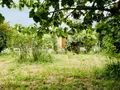 Maison a vendre Marseille 16e Arrondissement 13016 Bouches-du-Rhône 13 85 m2 3 pièces 310000 euros 10521/40 006
