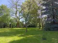 Propriete a vendre Beaugency 45190 Loiret 45 280 m2 11 pièces 356900 euros 091/1508 003