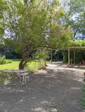 Propriete a vendre Beaugency 45190 Loiret 45 280 m2 11 pièces 356900 euros 091/1508 025