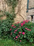 Maison a vendre Souillac 46200 Lot 46 240 m2 6 pièces 320000 euros 46051/336 030