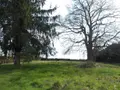 Propriete a vendre Bétête 23270 Creuse 23 152 m2 127920 euros 23010-113692 023