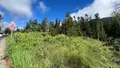 Terrain a batir a vendre La Plaine-des-Palmistes 97431 La Réunion 974 1368 m2 190000 euros 97404/25 001