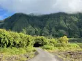 Terrain a batir a vendre La Plaine-des-Palmistes 97431 La Réunion 974 1368 m2 190000 euros 97404/25 002