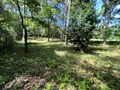Terrains de loisirs bois etangs a vendre Larchant 77760 Seine-et-Marne 77 20 m2 99000 euros 161 003