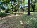 Terrains de loisirs bois etangs a vendre Larchant 77760 Seine-et-Marne 77 20 m2 99000 euros 161 004