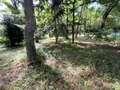 Terrains de loisirs bois etangs a vendre Larchant 77760 Seine-et-Marne 77 20 m2 99000 euros 161 006
