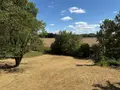 Maison a vendre Buchères 10800 Aube 10 123 m2 4 pièces 334000 euros 10010/463 023