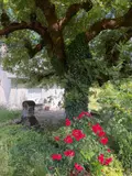 Maison a vendre Ally 15700 Cantal 15 99 m2 5 pièces 95400 euros 15060/1268 005