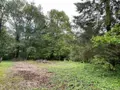 Terrains de loisirs bois etangs a vendre Villedieu 21330 Côte-d'Or 21 13600 euros 1758 003