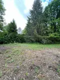 Terrains de loisirs bois etangs a vendre Villedieu 21330 Côte-d'Or 21 13600 euros 1758 004
