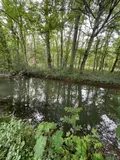 Terrains de loisirs bois etangs a vendre Villedieu 21330 Côte-d'Or 21 13600 euros 1758 001