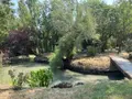 Maison a vendre Marans 17230 Charente-Maritime 17 181 m2 7 pièces 343200 euros VD/652 005