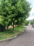 Appartement a vendre Malemort 19360 Corrèze 19 62 m2 3 pièces 106500 euros 19037-306 010