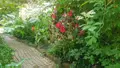 Maison a vendre Châtres-sur-Cher 41320 Loir-et-Cher 41 105 m2 5 pièces 231880 euros 41036/3193 005