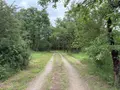 Terrains de loisirs bois etangs a vendre Migné 36800 Indre 36 115 m2 546000 euros 037/2730 008