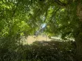 Maison a vendre Siorac-de-Ribérac 24600 Dordogne 24 214 m2 5 pièces 360120 euros 077/1734 046