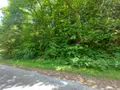 Maison a vendre Cléguérec 56480 Morbihan 56 67 m2 3 pièces 98580 euros 063-497 021