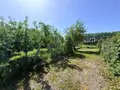 Terrain a batir a vendre Marconnelle 62140 Pas-de-Calais 62 890 m2 86879 euros 083/2141 004