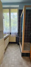 Maison a vendre Saint-Sauveur-en-Puisaye 89520 Yonne 89 96 m2 3 pièces 153000 euros 14562/284-1 013