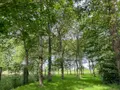 Maison a vendre Hédé-Bazouges 35630 Ille-et-Vilaine 35 165 m2 5 pièces 448000 euros 020/650 004