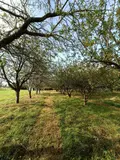 Terrains de loisirs bois etangs a vendre Villaines-la-Juhel 53700 Mayenne 53 31800 euros 1395 011