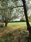 Terrains de loisirs bois etangs a vendre Villaines-la-Juhel 53700 Mayenne 53 31800 euros 1395 013
